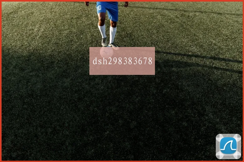 dsh298383678