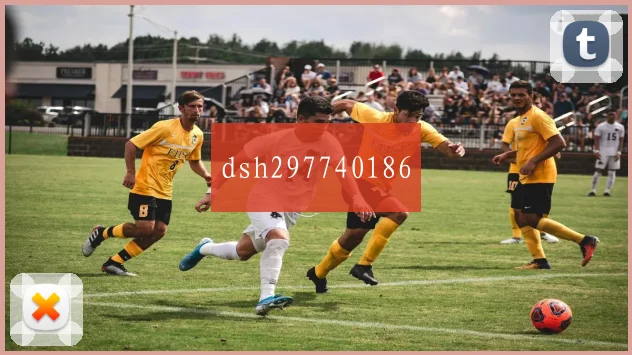dsh297740186