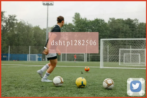 dshtpl282506