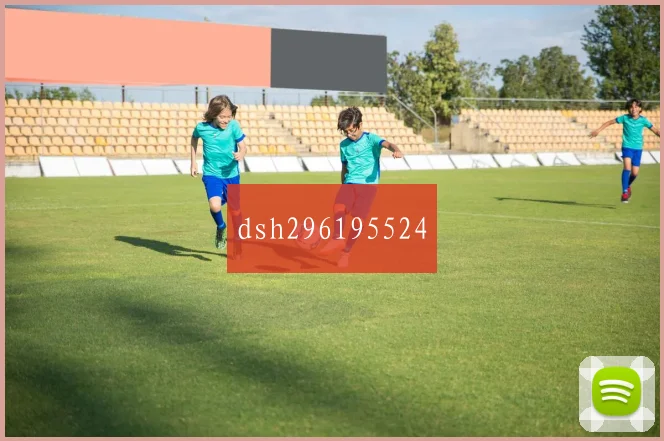dsh296195524