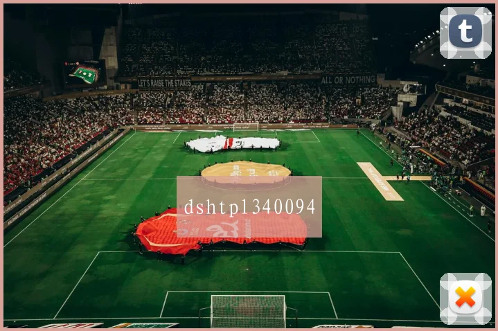 dshtpl340094