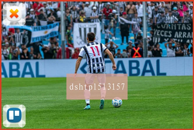 dshtpl513157
