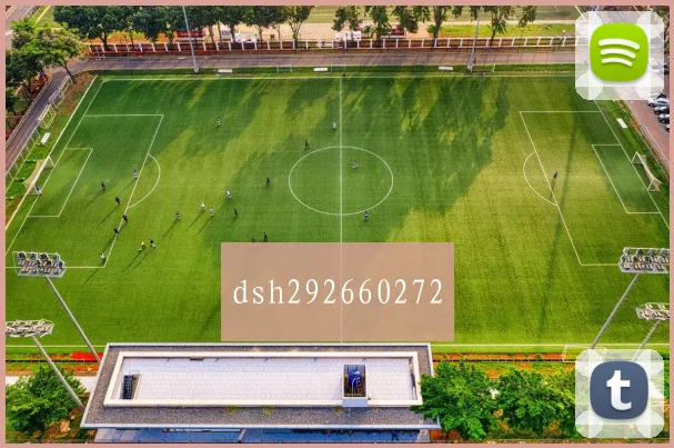 dsh292660272
