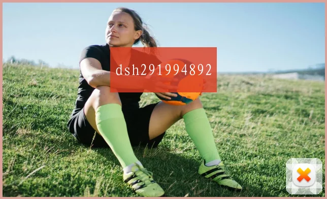 dsh291994892